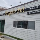 양산애견샵 엔젤스펫에서 기염 터지는 말티푸 분양한 후기 ㅇ_<