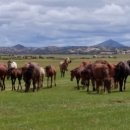 남진한의원 이미지