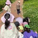 제일무궁화유치원 이미지