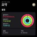 직구 모야모야