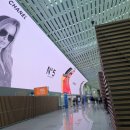 (주)팬스타트리(담) | 6일 미서부 출장기-1_프레스티지 동편 라운지, 더블트리 바이 힐튼 호텔 버클리 마리나, Skates On The Bay