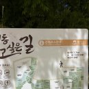 용이동 소로 3-6 | 용이동 걷고싶은 길 걸어본 후기
