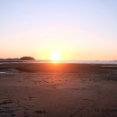 나리관광펜션 | 2박 3일 여행지로 좋은 태안 갯벌체험 펜션