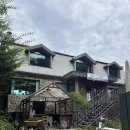 고양아, 안녕? | 고양시 덕양구 감성카페 ‘안녕 정원’ 내돈내산 후기
