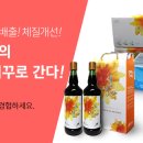으뜸식품