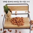 건해몽