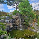 거기한우 이미지