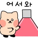 88모토대전