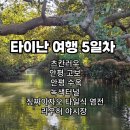 전분공장앞(조인빌리지) 4 | 대만 타이난 9박10일 엄마랑 자유여행 5 - 타이난 버스투어(츠칸러우, 안평보고, 안평수옥, 쓰차오 녹색...