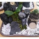 삼덕동주민센터 이미지