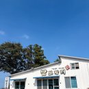 제주밥보장터 이미지