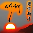 트리핑 이미지