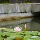 일붕사 | 의령 여행 필수코스 일붕사 방문후기 방문전 알아두면 좋은 일붕사정보
