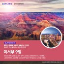 (주)현대미주여행사