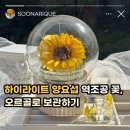 홍대 역조공 꽃 말리기 후기｜하이라이트 양요섭 꽃 오래 보관하는 방법