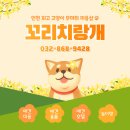 꼬리치랑개 이미지