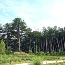 고목목장 이미지