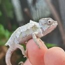 일중농장 이미지