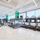 짐프릭 정자시장점 이미지