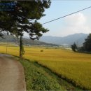 내현1리 마을회관 이미지