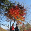 공원관리사무소 이미지