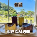 함안 카페 숲필, 정원이 아름다운 대형 베이커리 카페 후기