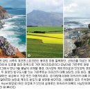 미스터로티 - 원주시 | 미스터로티