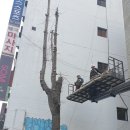 태진자원 이미지