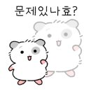 제이글램핑 이미지