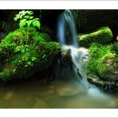 노고단-6 이미지