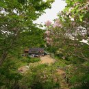 평전(여) 이미지