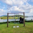 단양농협 대강지점 이미지