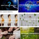 영스랩 안티에이징 연구소 이미지