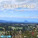 제주겨울서쪽오름 추천 멋진뷰 쉬운 난이도 마보기오름 후기