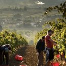 흥덕주식회사 이미지