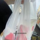 신금호역 | 신금호역 KFC 징거박스 포장 후기