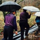 미천면-13 이미지