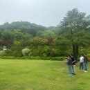 가평조종조종-3 이미지