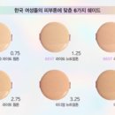 디케이스킨 이미지