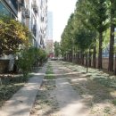 오금동상아아파트 이미지