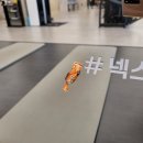 넥스트성형외과의원 이미지