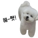 라라네일살롱