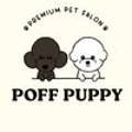 뽀프퍼피(POFF PUPPY) 이미지