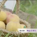 이연주농장 이미지