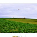 오늘부터 사진작가 이미지