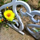 (주)심산 이미지