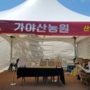 산양삼치유농원