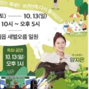 제주통시 이미지