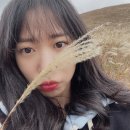 제주가족펜션꿀하우스 이미지