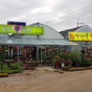 아리수꽃집